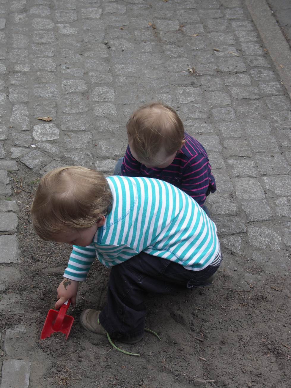 Stolperstein 2013