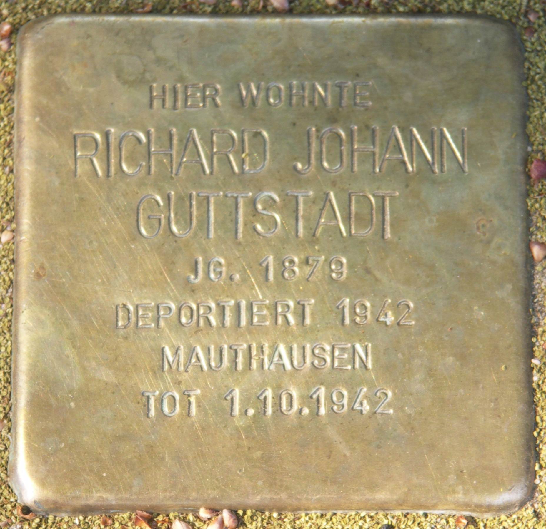 Stolperstein 2009